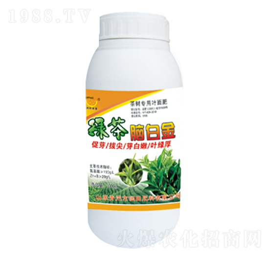 �G���X�׽�-�������