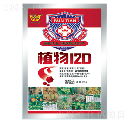 ֲ��120-�������