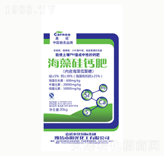 ������}��-�(y��ng)�⻯��