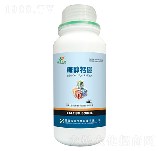 �Ǵ��}��-��������