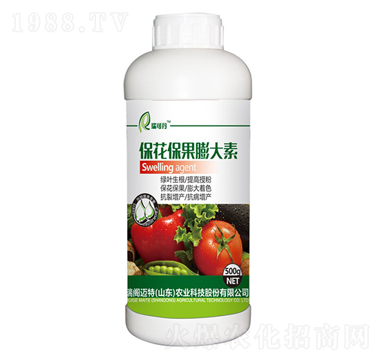 �������������-��ɵ�-���w�~��