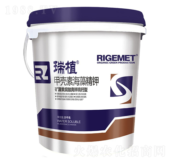 �ך��غ��徫�-��ֲ-���w�~��