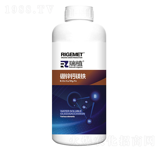 ���\�}�V�F-��ֲ-���w�~��