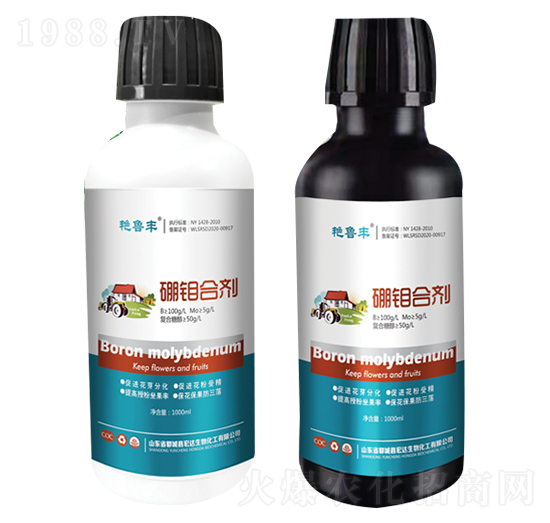 ���f�τ�-�G���S-���_����