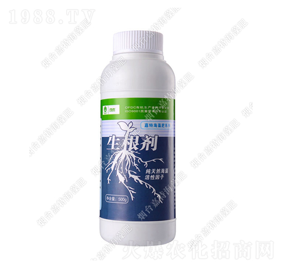 ����������-��������