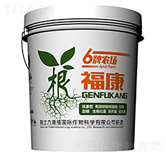 ������-������