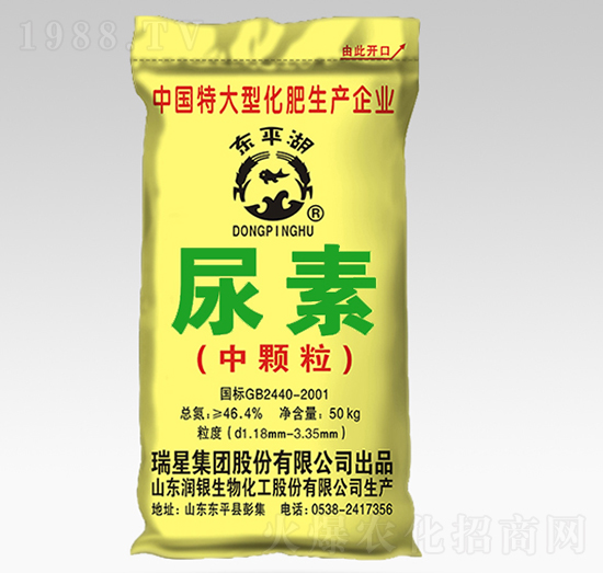 ���w������-�|ƽ��-����