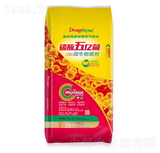 ΢�������-̼ø��|��-����ʘI(y��)