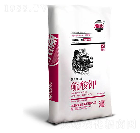 ������w��-����ʘI(y��)