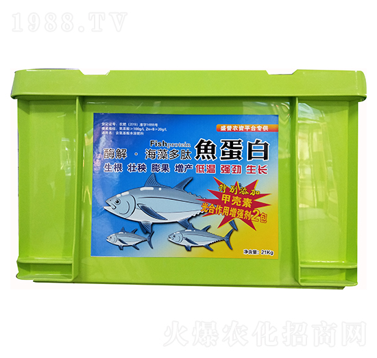 ø�⡤��������~����-����ʘI(y��)