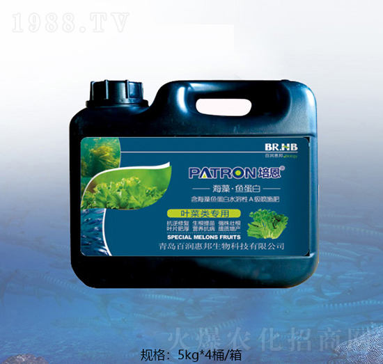 �~����ٺ����~����-�ٝ��ݰ�