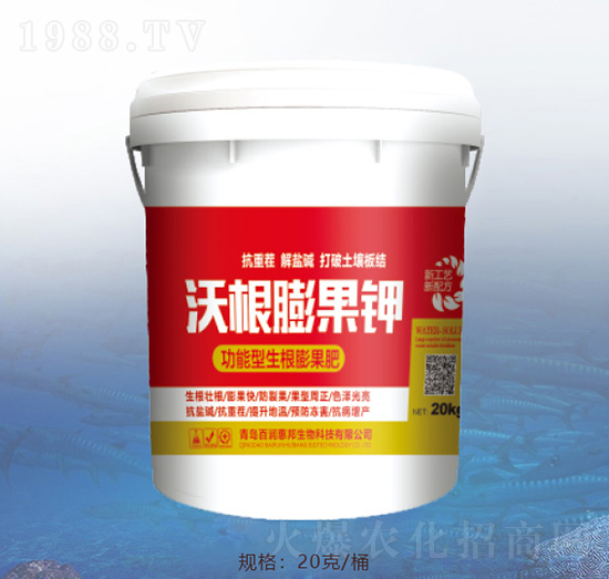 �ָ�����-�ٝ��ݰ�