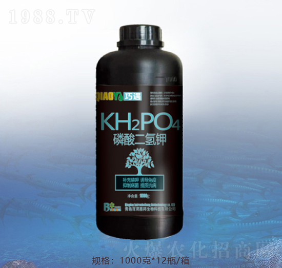 ��������-�ٝ�(r��n)�ݰ�