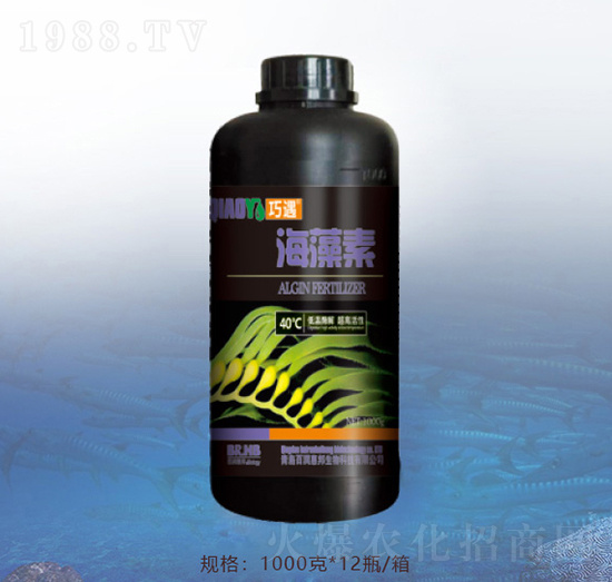 ������-�ٝ��ݰ�