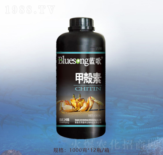 �ך���-�{(l��n)��-�ٝ��ݰ�