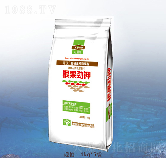 �������-�ٝ��ݰ�