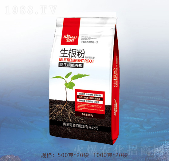 500g������-�ٝ�(r��n)�ݰ�