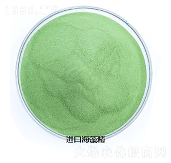 �M(j��n)�ں��徫-���L�`