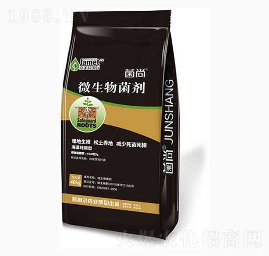 �ͺ�΢�������-����-������