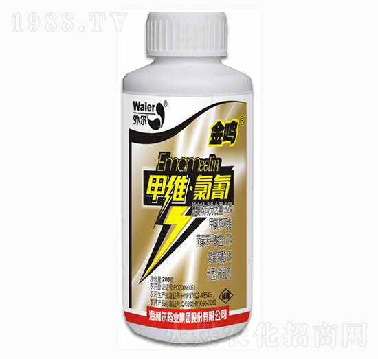 �׾S����-���Q-������