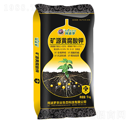 �VԴ�S�����-�����_