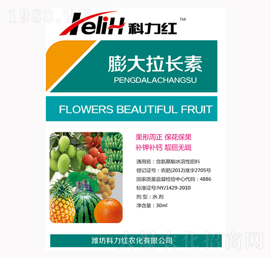 ������L(zh��ng)��-�����t-��������