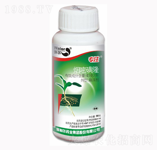 ���׻�¡-��ע-������