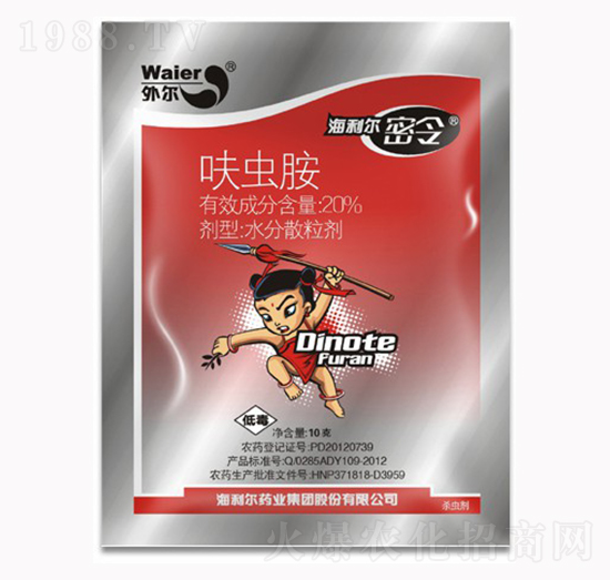 20%���x��-����������-������