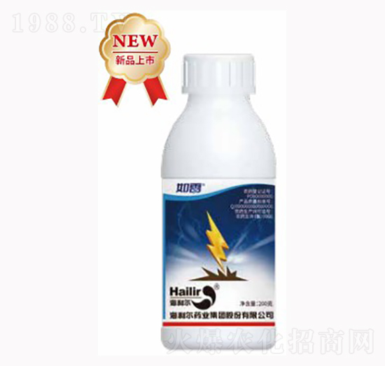 ����-������