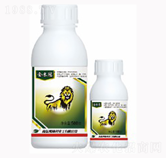 24%���S���x��-���׹�-������