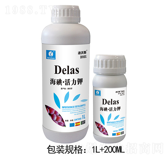 ���⡤�����-����˹-���Rϣ˹