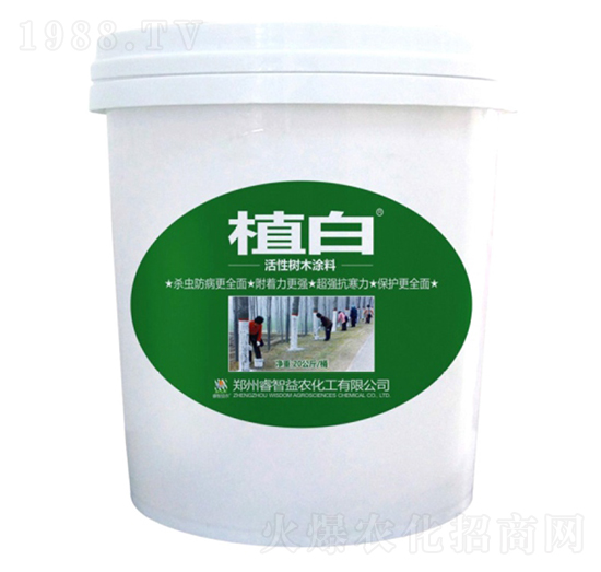 20����ֲ�׻��Ԙ�ľͿ��-������r