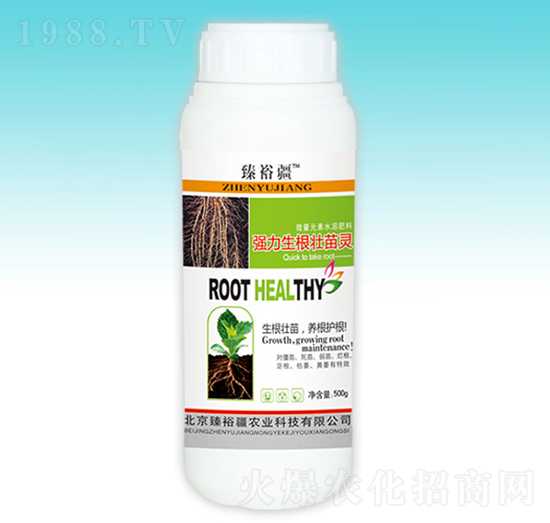 �������������`-��ԣ��