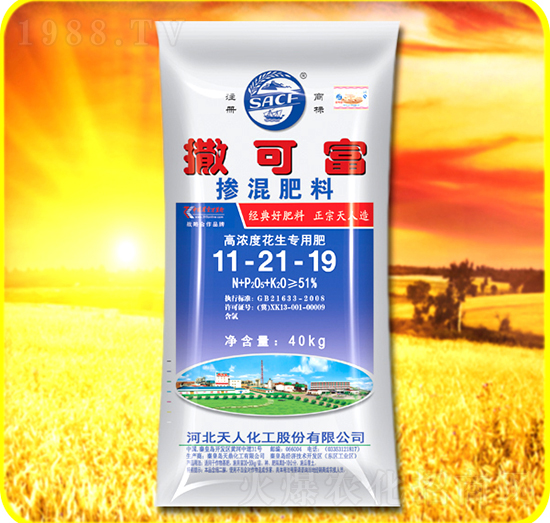 �������11-21-19-���ɸ�-���˻���