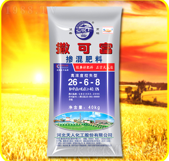 �������26-6-8-���ɸ�-���˻���