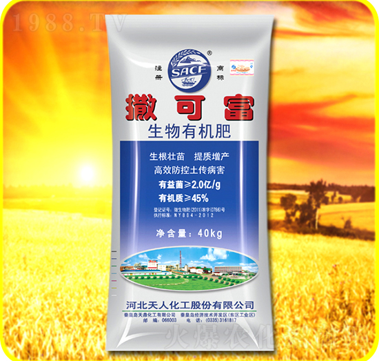 �����ЙC(j��)��-���ɸ�-���˻���