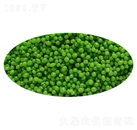 �����{�턩���Gɫ��-���R��