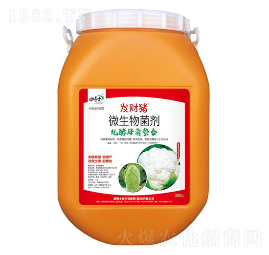 ����ĸ������΢�������-�l(f��)ؔ�i-�ﲩʿ