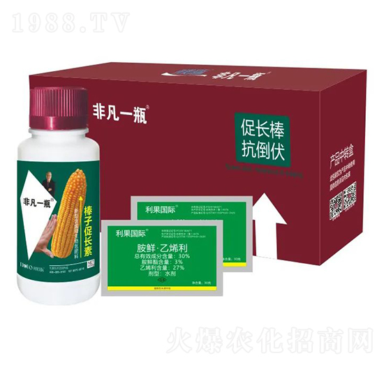 ���Ӵ��L(zh��ng)��-�Ƿ�һƿ-������(gu��)�H