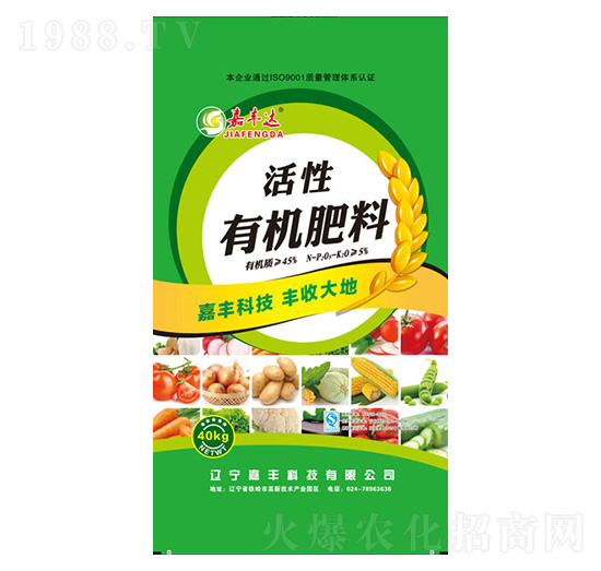 ���S�_�����ЙC����-���S�Ƽ�