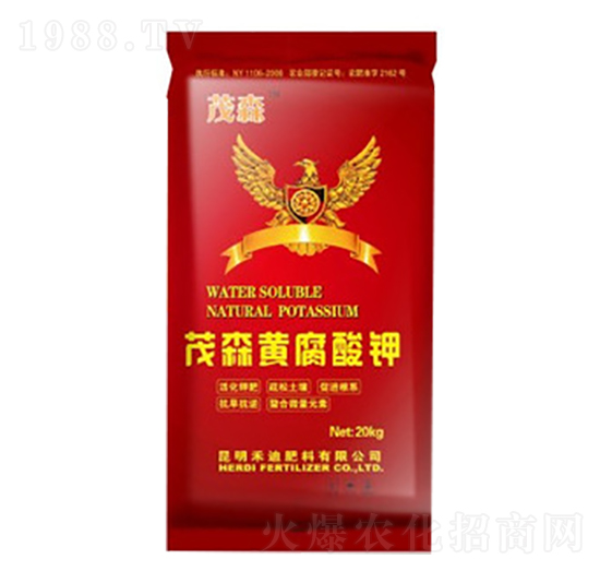 ïɭ�S�����-�̵�