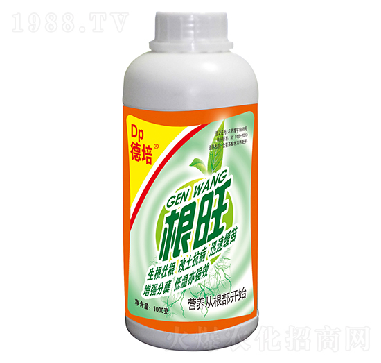 1000g�������-��ꖉ�