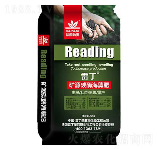 �VԴ̼ø�����-�׶�-ʥ��˹