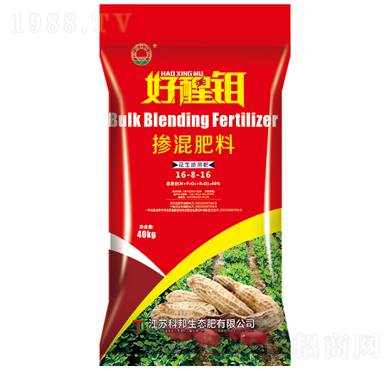 �����m���͓������16-8-16-�����f-�ư����B(t��i)