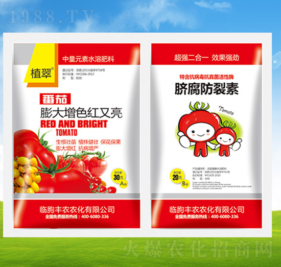 �����ɫ�t����+����������-ֲ��-�S�r(n��ng)�r(n��ng)��