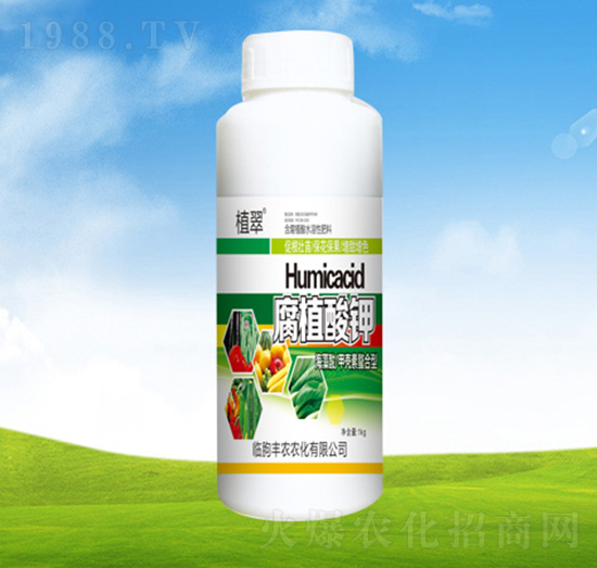 ��ֲ��⛡�ƿ��-ֲ��-�S�r�r��