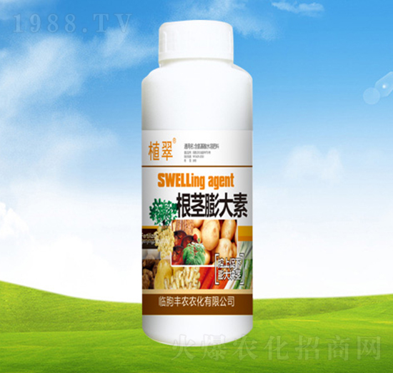 ���o����ء�ƿ��-ֲ��-�S�r�r��