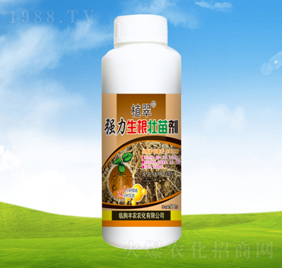 �����������焩��ƿ��-ֲ��-�S�r�r��