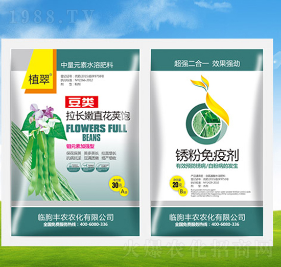 ���L��ֱ���v��+���P���߄�-ֲ��-�S�r�r��