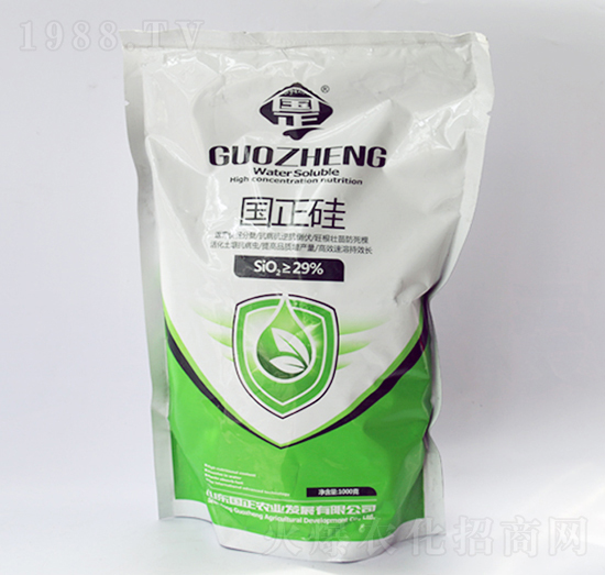 ������-������